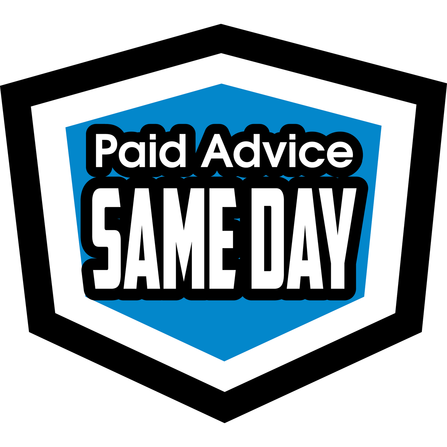 Paid Advice - Same Day Reply